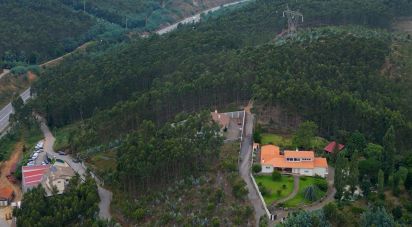 Maison T3 à Ossela de 336 m²