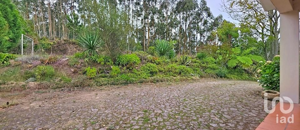 Moradia T3 em Ossela de 336 m²