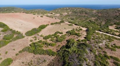 Terrain Loisirs à Budens de 4 320 m²