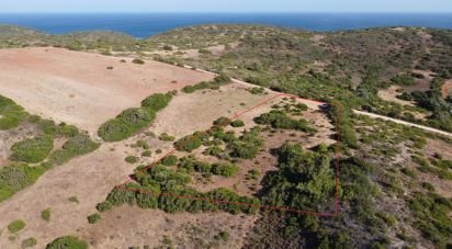 Terrain Loisirs à Budens de 4 320 m²