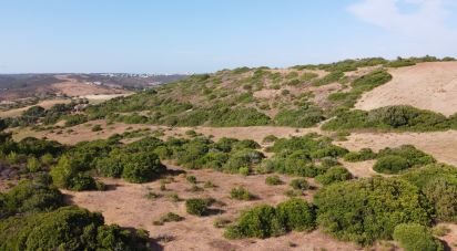 Terrain Loisirs à Budens de 4 320 m²