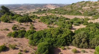 Terrain Loisirs à Budens de 4 320 m²