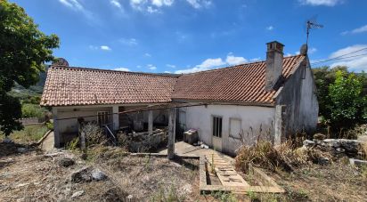 Maison T3 à Alvados e Alcaria de 440 m²