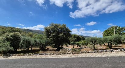 Maison T3 à Alvados e Alcaria de 440 m²