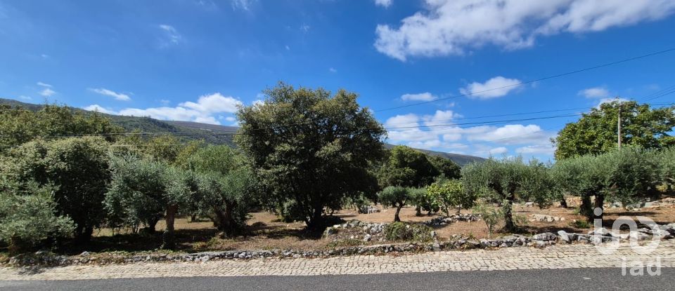 Moradia T3 em Alvados e Alcaria de 440 m²