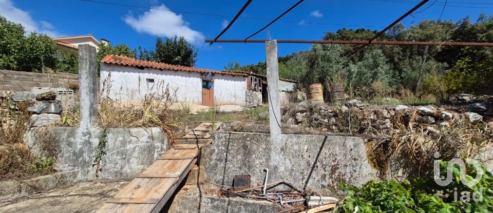 Moradia T3 em Alvados e Alcaria de 440 m²