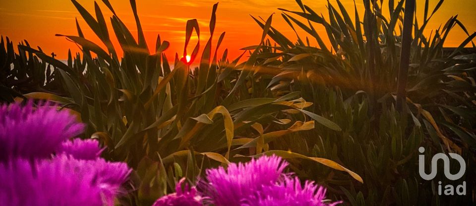 House T2 in Montenegro of 67 m²