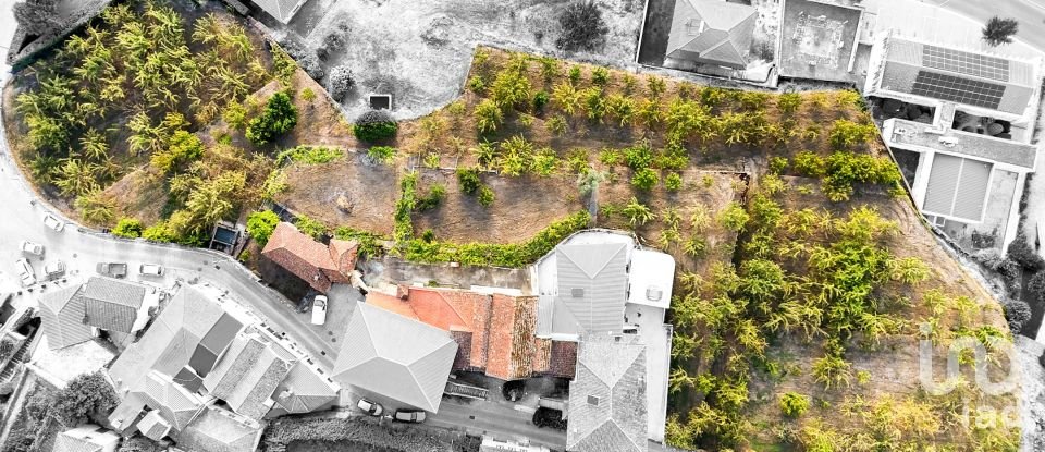 Ferme T8 à São Martinho de Mouros de 558 m²