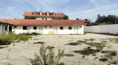 Bâtiment à Paredes de 560 m²