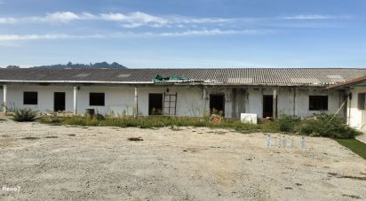 Bâtiment à Paredes de 560 m²