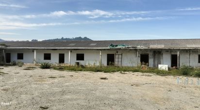 Bâtiment à Paredes de 560 m²