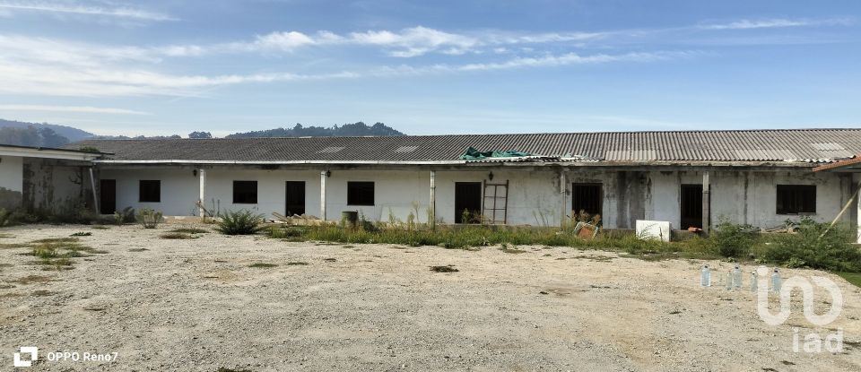 Bâtiment à Paredes de 560 m²