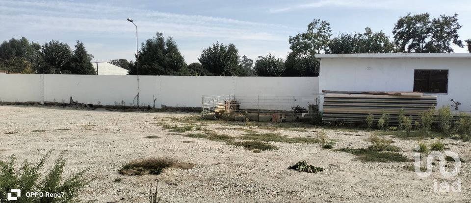 Bâtiment à Paredes de 560 m²