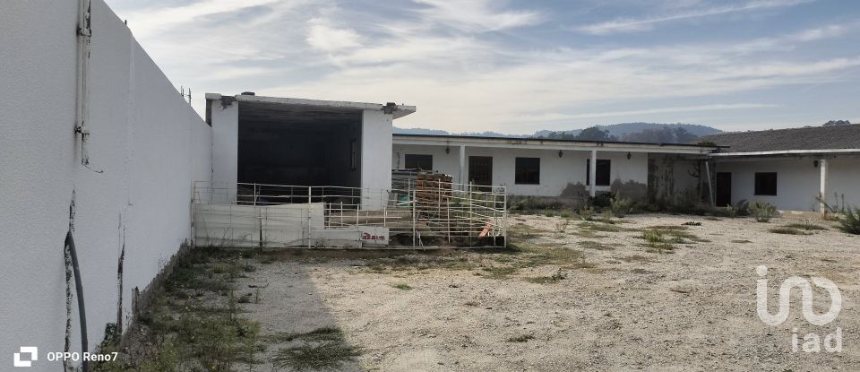 Bâtiment à Paredes de 560 m²