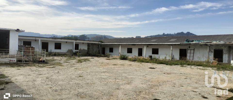 Bâtiment à Paredes de 560 m²