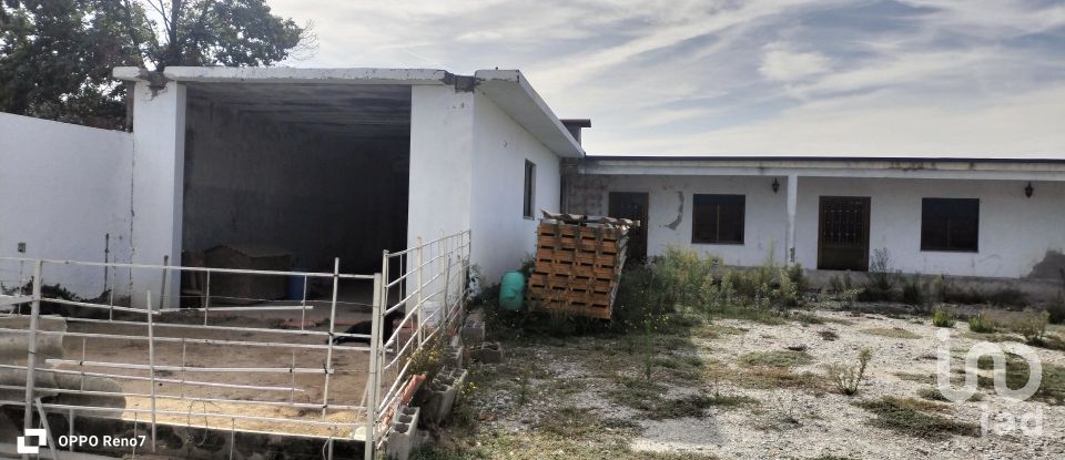 Bâtiment à Paredes de 560 m²