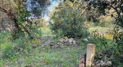 Terrain à Paderne de 3 280 m²