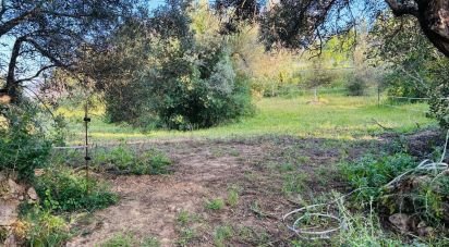 Terrain à Paderne de 3 280 m²