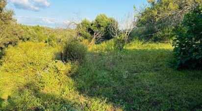 Terrain à Paderne de 3 280 m²