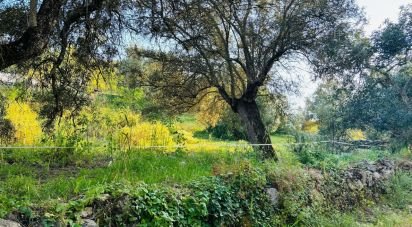 Terrain à Paderne de 3 280 m²