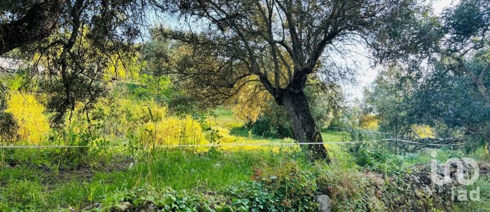 Terreno em Paderne de 3 280 m²