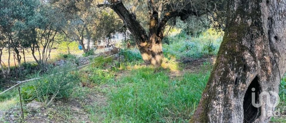 Terreno em Paderne de 3 280 m²