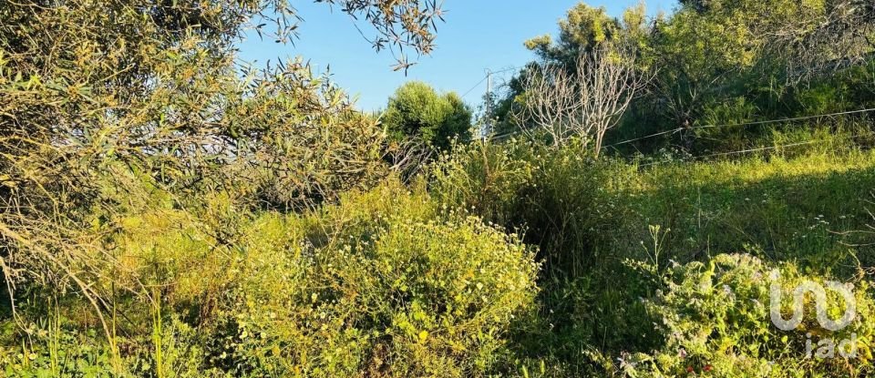 Terreno em Paderne de 3 280 m²