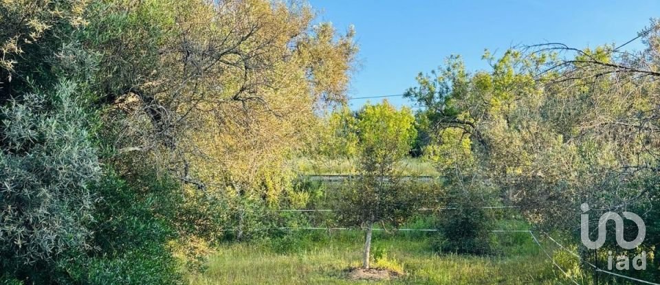 Terreno em Paderne de 3 280 m²