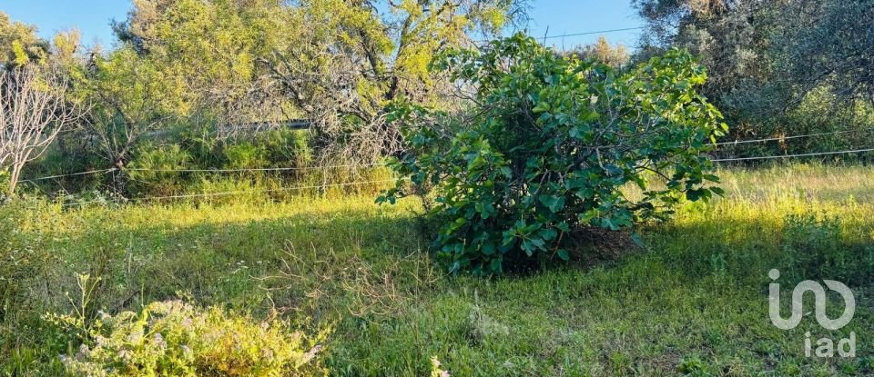 Terreno em Paderne de 3 280 m²