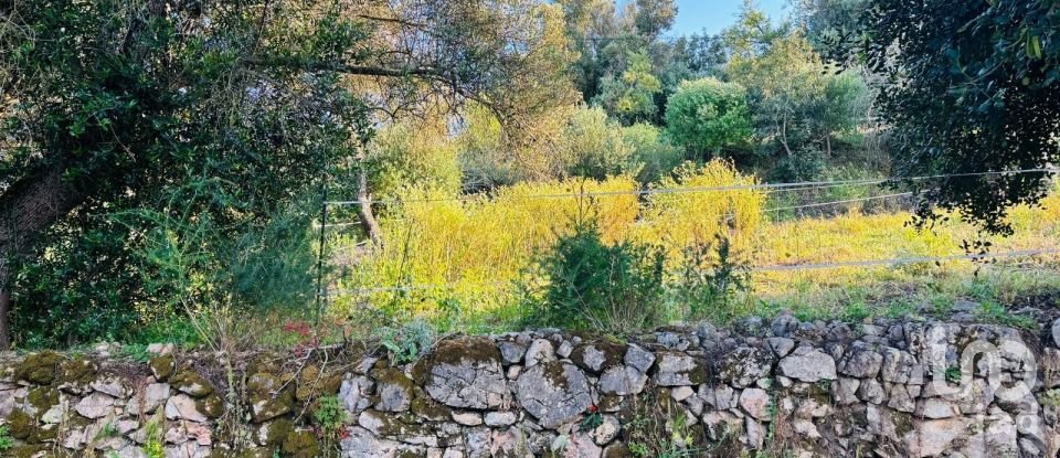 Terreno em Paderne de 3 280 m²