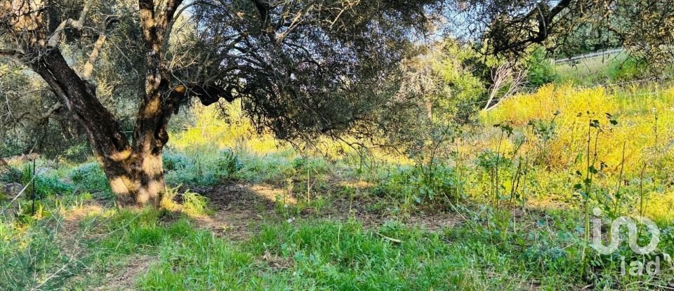 Terreno em Paderne de 3 280 m²