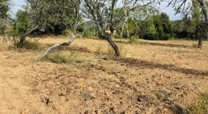 Terrain à Paderne de 1 800 m²