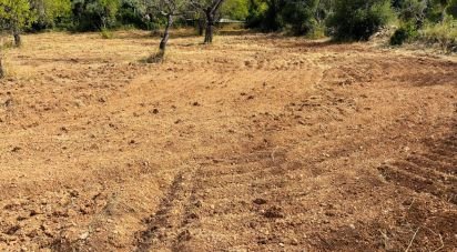 Terrain à Paderne de 1 800 m²