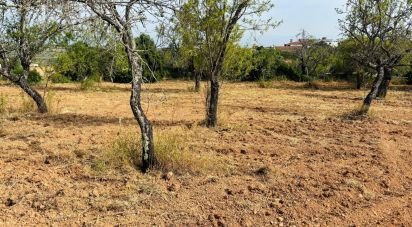 Terrain à Paderne de 1 800 m²