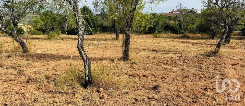 Terreno em Paderne de 1 800 m²