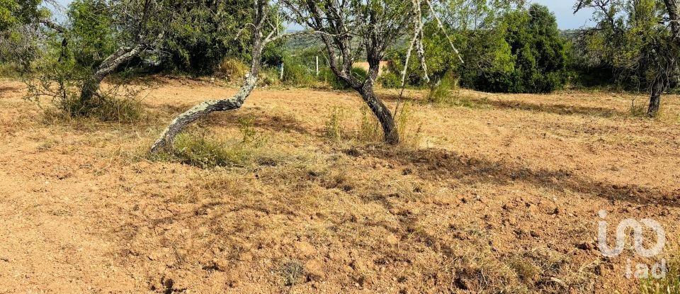 Terreno em Paderne de 1 800 m²