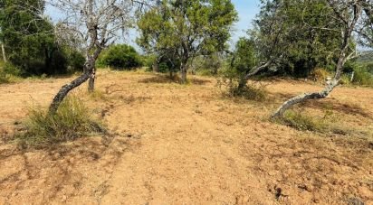 Terrain à Paderne de 1 800 m²