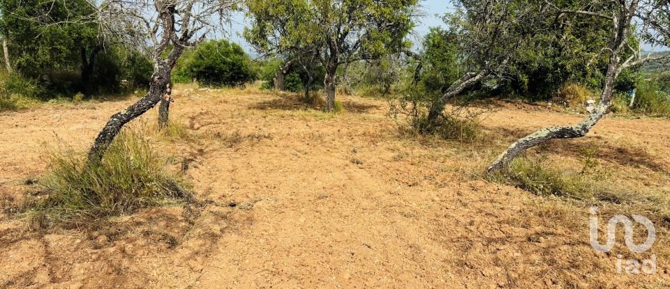 Terreno em Paderne de 1 800 m²