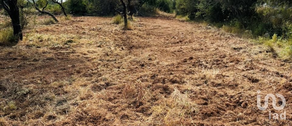 Terreno em Paderne de 1 800 m²