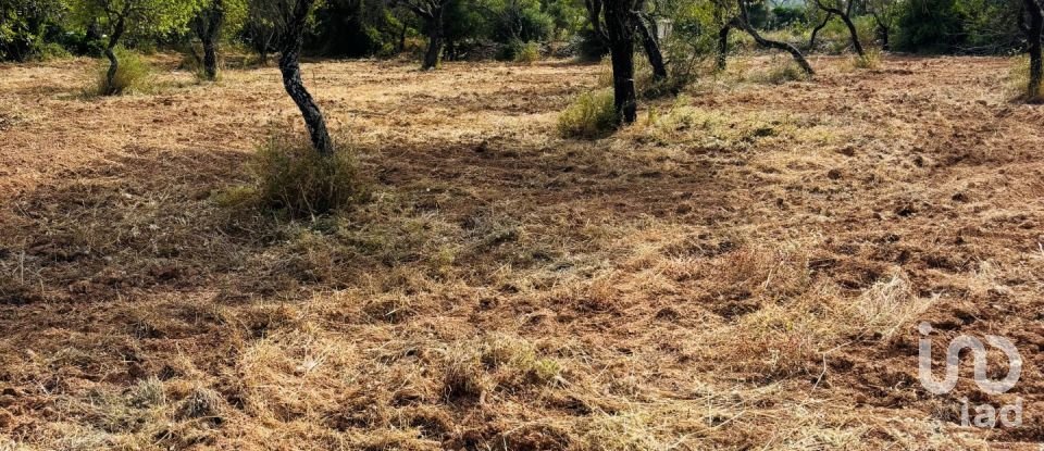 Terreno em Paderne de 1 800 m²