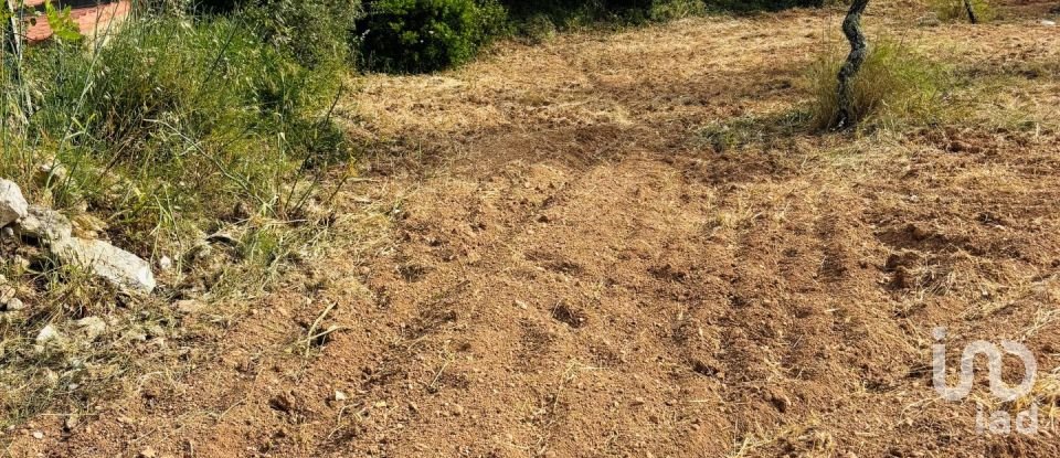 Terreno em Paderne de 1 800 m²