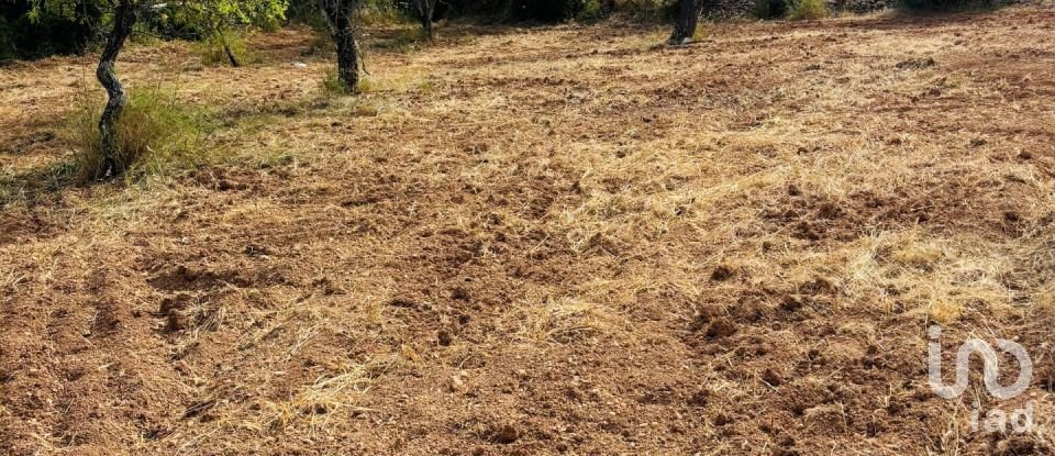 Terreno em Paderne de 1 800 m²