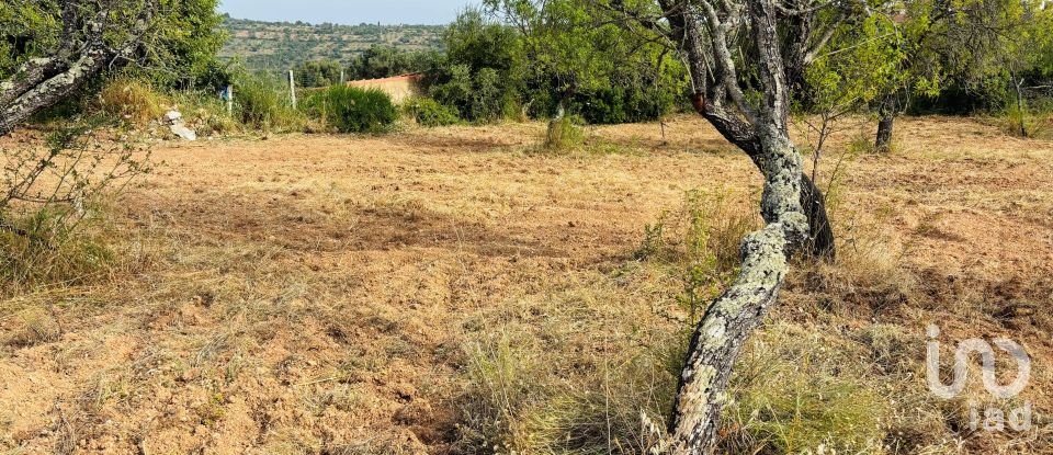 Terreno em Paderne de 1 800 m²