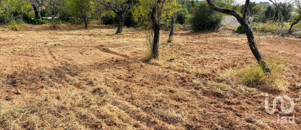 Terreno em Paderne de 1 800 m²