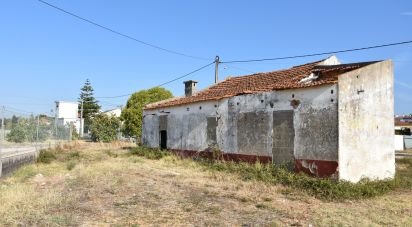 Maison de plain-pied T4 à São João Baptista de 85 m²