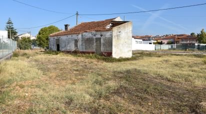 Maison de plain-pied T4 à São João Baptista de 85 m²