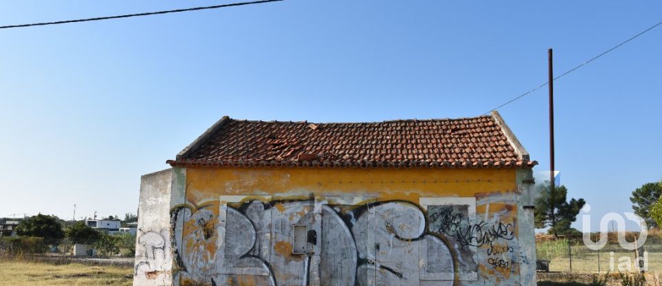 Maison de plain-pied T4 à São João Baptista de 85 m²