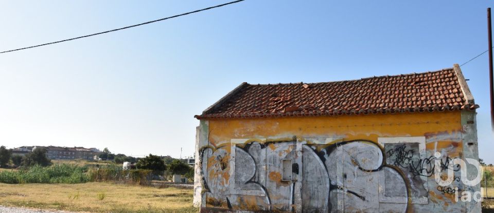 Maison de plain-pied T4 à São João Baptista de 85 m²