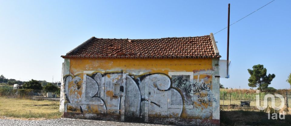 Maison de plain-pied T4 à São João Baptista de 85 m²