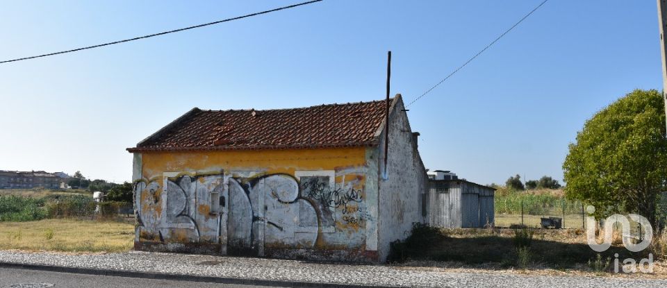 Maison de plain-pied T4 à São João Baptista de 85 m²